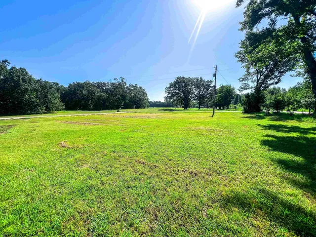 a view of a large yard with a large trees and plants