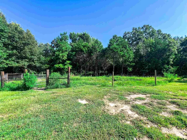a view of a park with a tree in the background