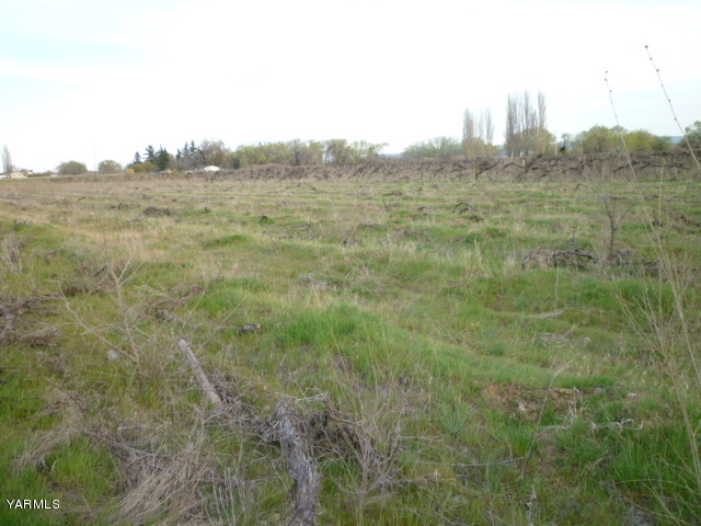 1348 Branch Road Toppenish, WA 98948 - Photo 6 of 7 a view of a field of grass and trees