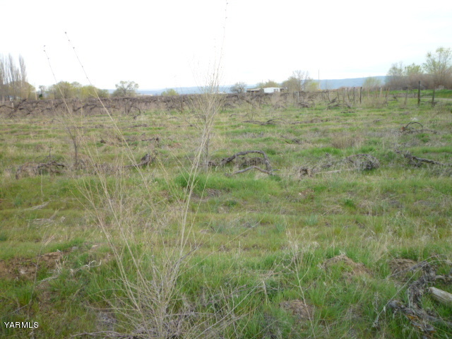 1348 Branch Road Toppenish, WA 98948 - Photo 7 of 7 a view of a dry yard with green space