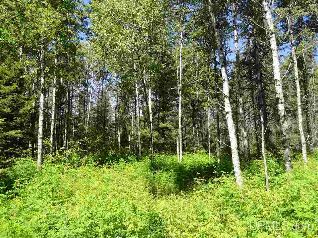 11 Co Road Felch, MI 49831 - Photo 33 of 36