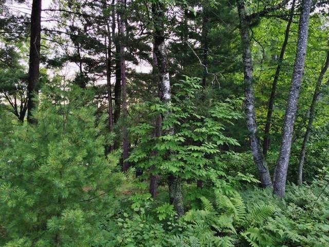 Off Buckhorn Lane Rhinelander, WI 54501 - Photo 16 of 19 Gallery Image 16