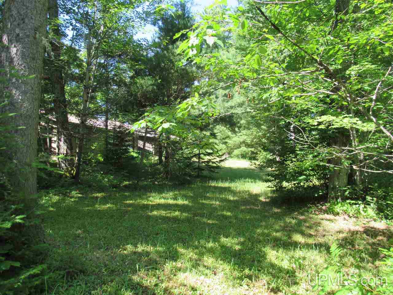 14650 Tracy Lake Road Covington, MI 49919 - Photo 40 of 44 Gallery Image 40