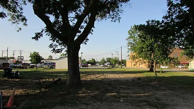 a view of a yard with large trees