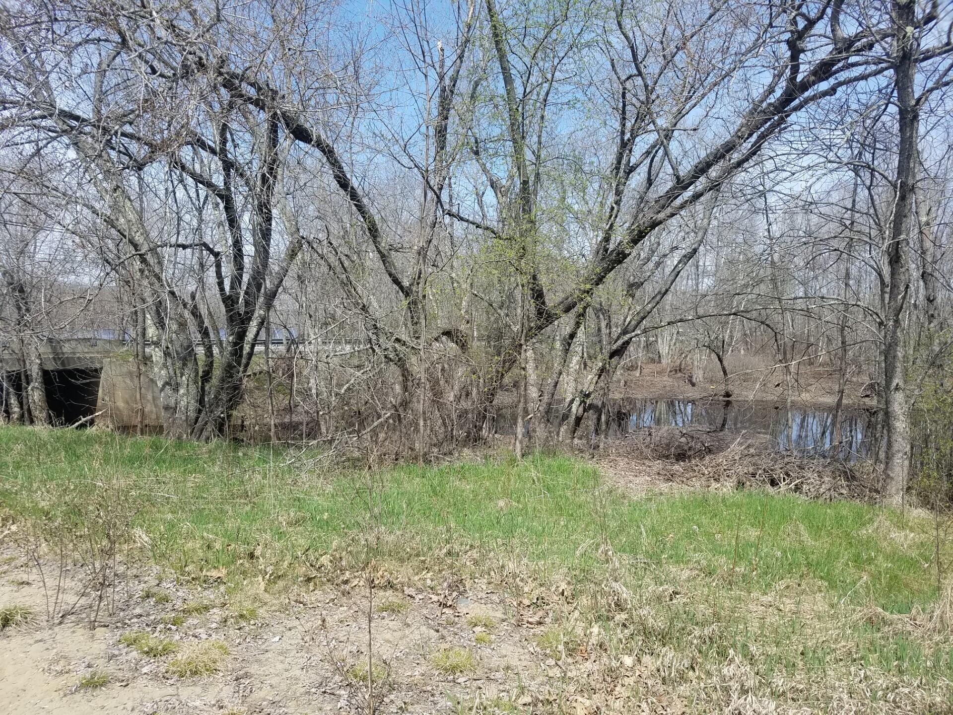 4 Greenfield Road Milford, ME 04461 - Photo 3 of 4 Lot 2
