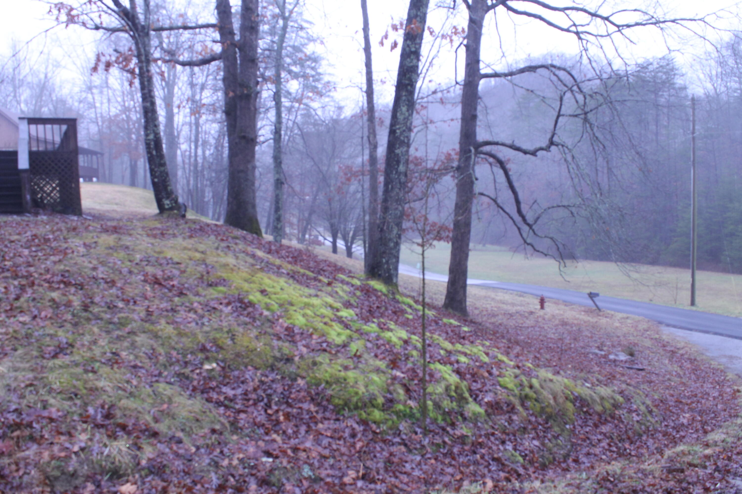 956 Lower Hatcher Creek Road Stanton, KY 40380 - Photo 30 of 36 IMG_7459