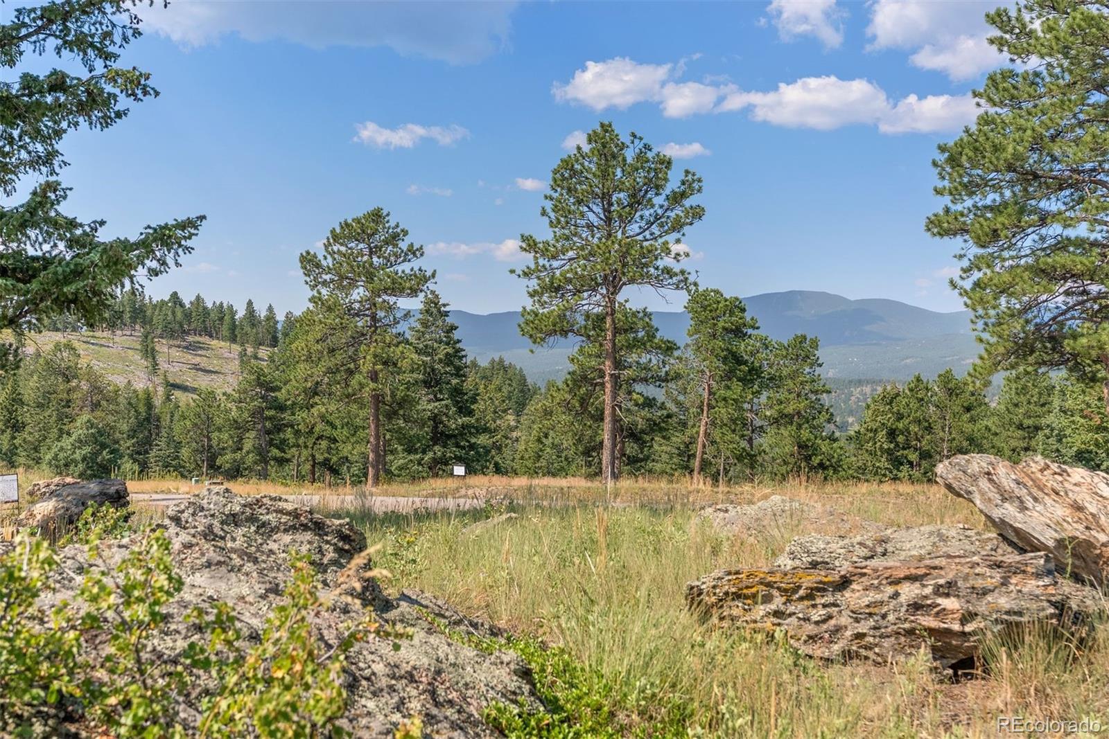 6371 Canyon Creek Road Evergreen, CO 80439 - Photo 11 of 38 a view of a yard with a house in the background