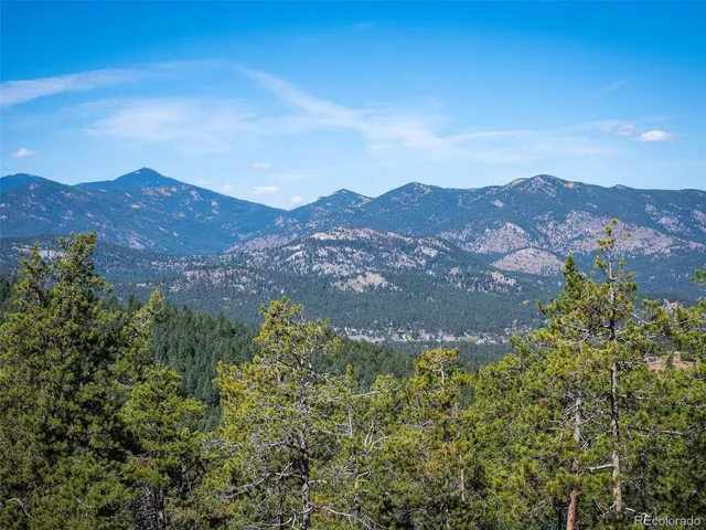 a view of a lush green forest with mountains in the background