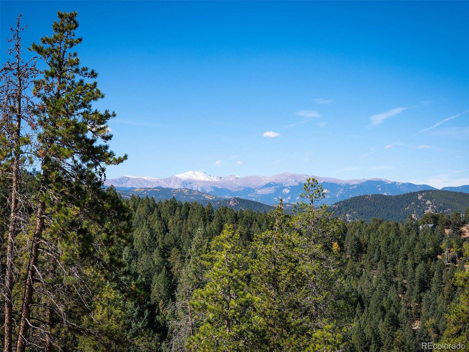 6371 Canyon Creek Road Evergreen, CO 80439 - Photo 15 of 38 a view of a lush green forest with mountains in the background