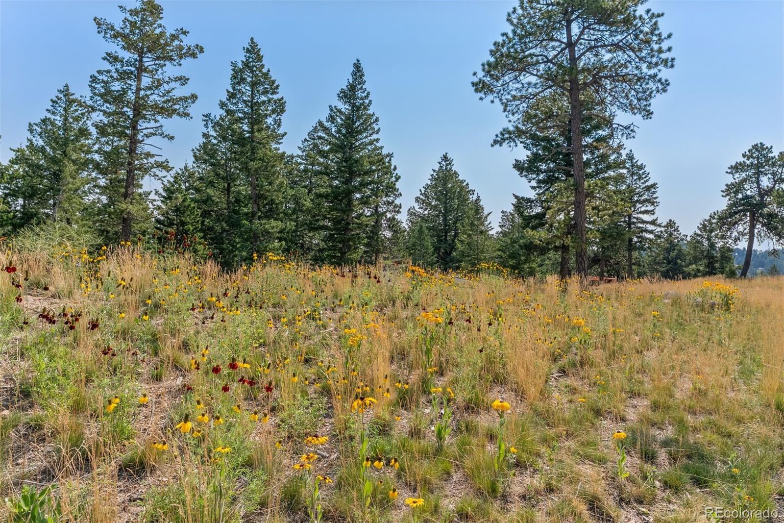 6371 Canyon Creek Road Evergreen, CO 80439 - Photo 18 of 38 a view of a yard with wooden fence