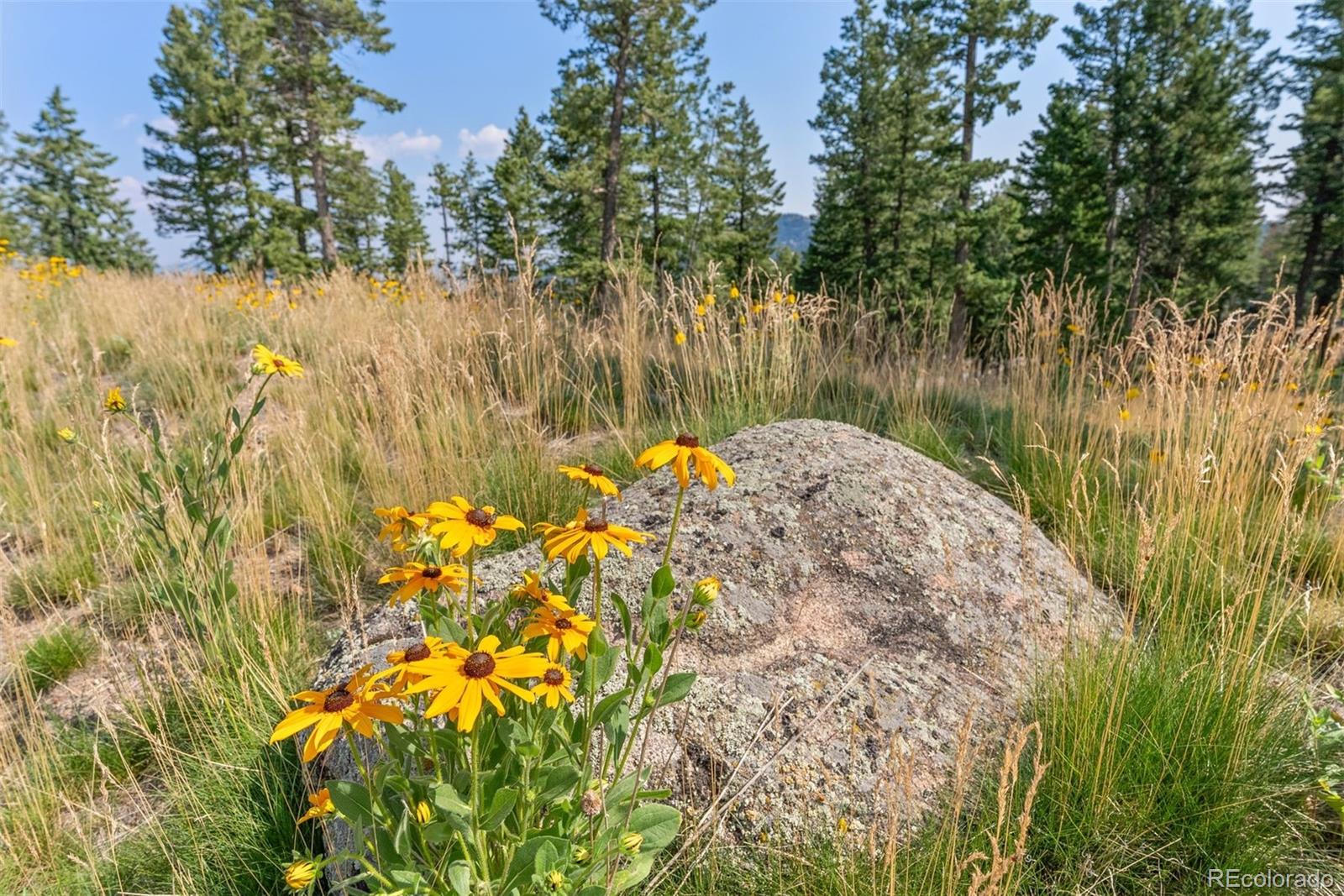 6371 Canyon Creek Road Evergreen, CO 80439 - Photo 19 of 38 a view of lake from a lake