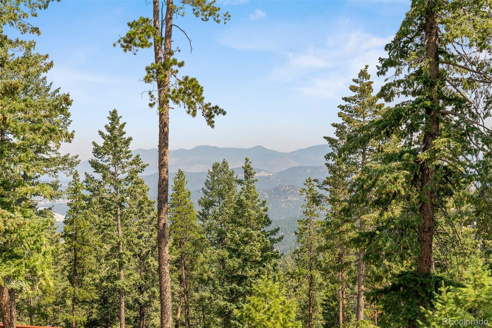 6371 Canyon Creek Road Evergreen, CO 80439 - Photo 22 of 38 a picture of a tree