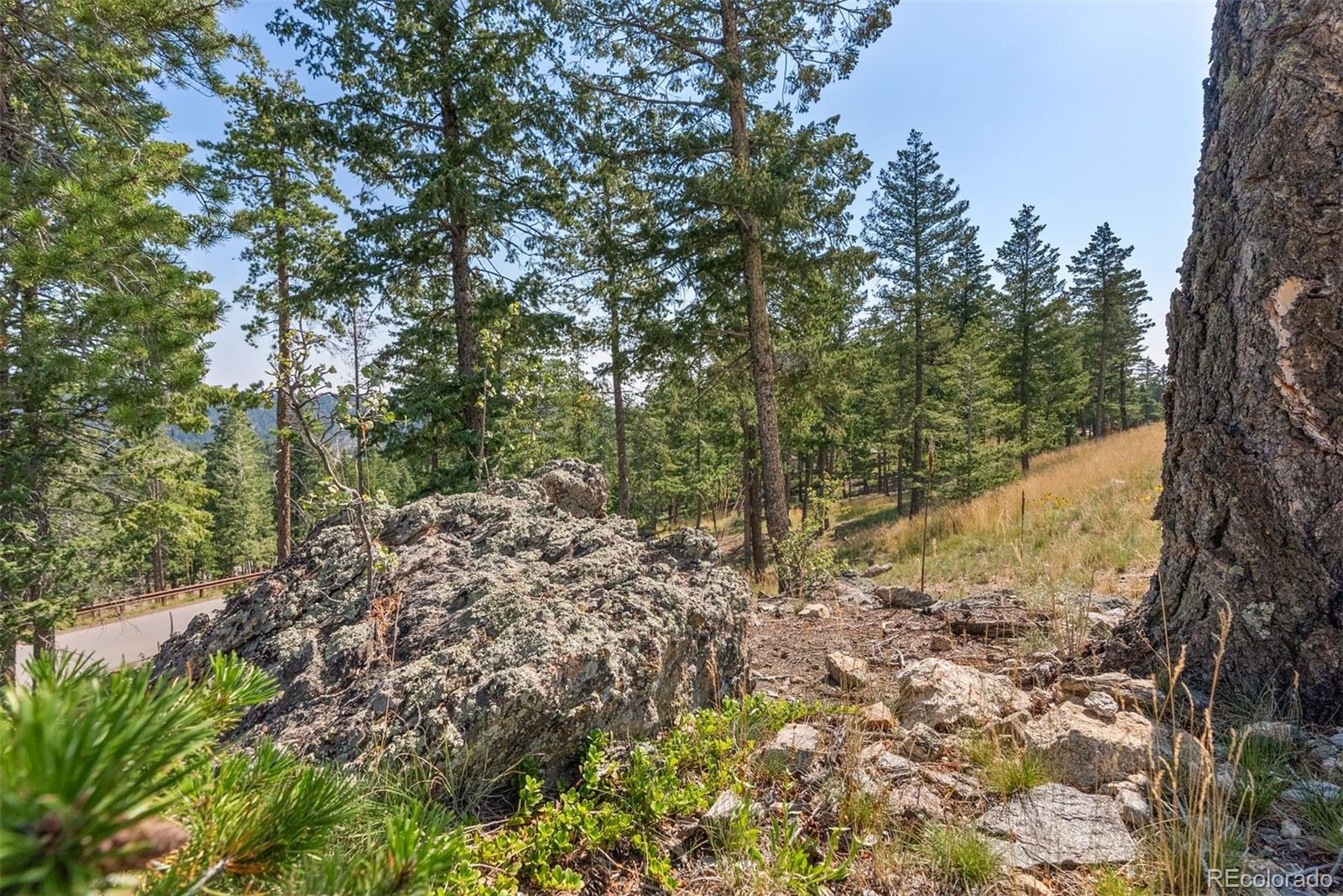 6371 Canyon Creek Road Evergreen, CO 80439 - Photo 24 of 38 a view of a yard with a tree