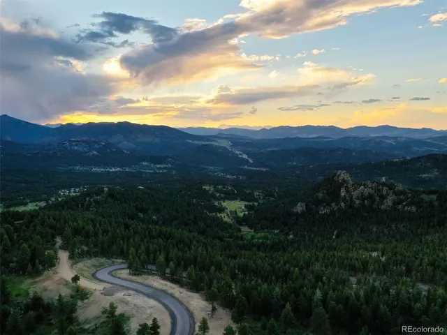 a view of a city with lush green forest