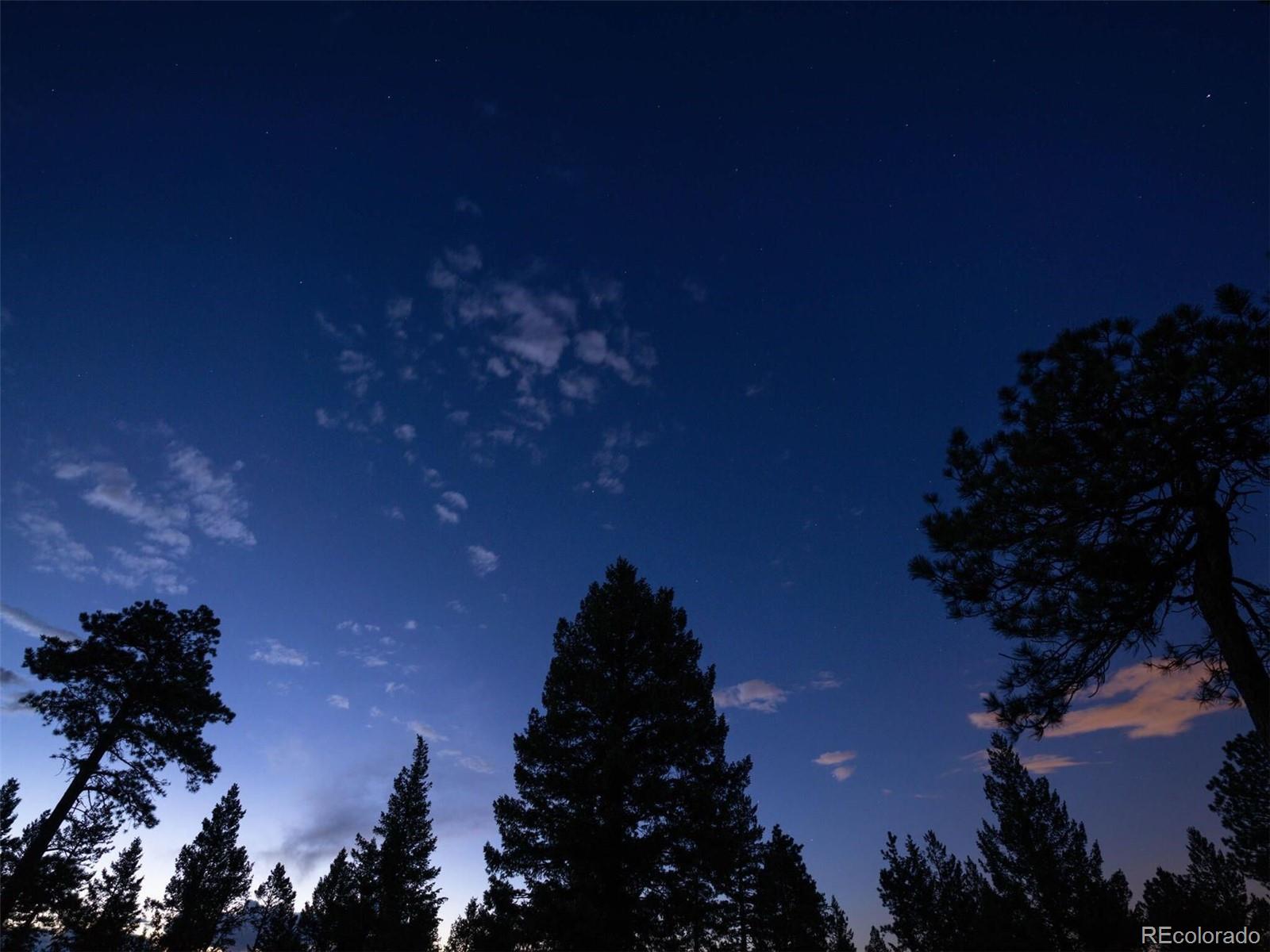 6371 Canyon Creek Road Evergreen, CO 80439 - Photo 35 of 38 a picture of a tree in a field