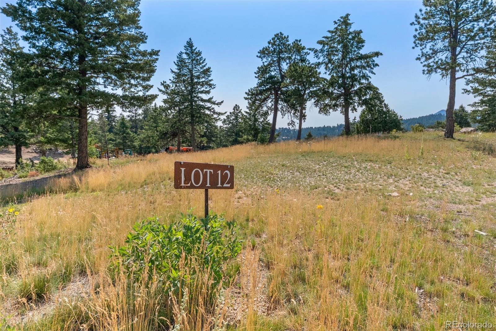 6371 Canyon Creek Road Evergreen, CO 80439 - Photo 6 of 38