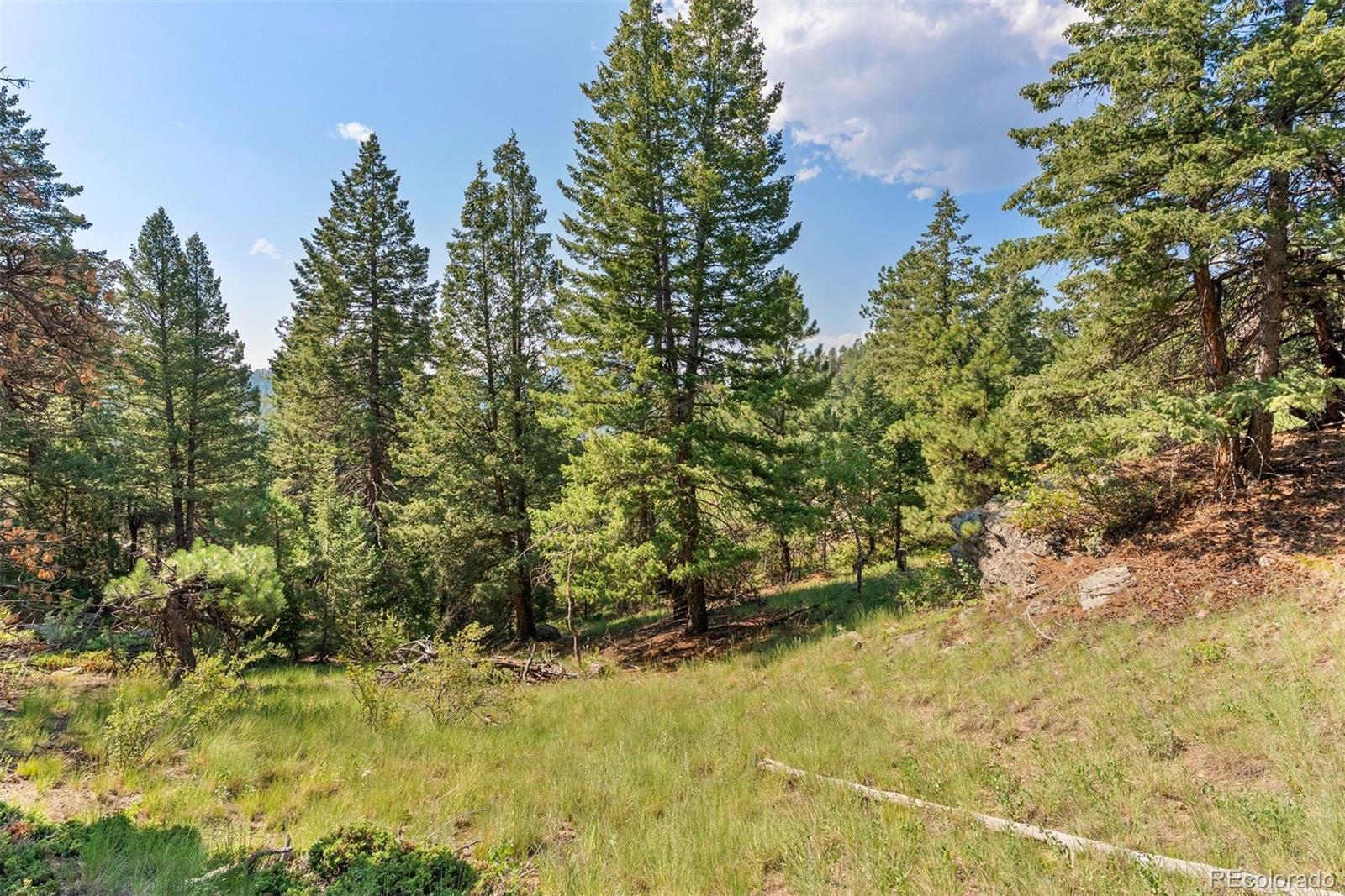 6371 Canyon Creek Road Evergreen, CO 80439 - Photo 8 of 38 a view of a yard