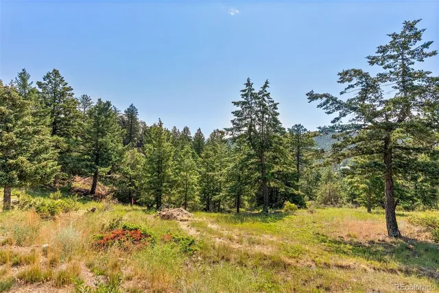 a view of a yard with a house in the background