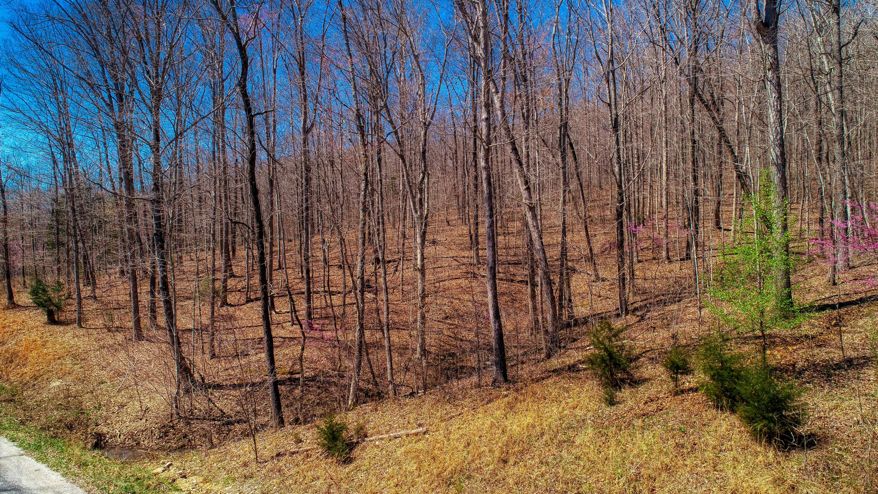 Lot 54 Cheyenne Road Jamestown, TN 38556 - Photo 3 of 4 DJI_0001