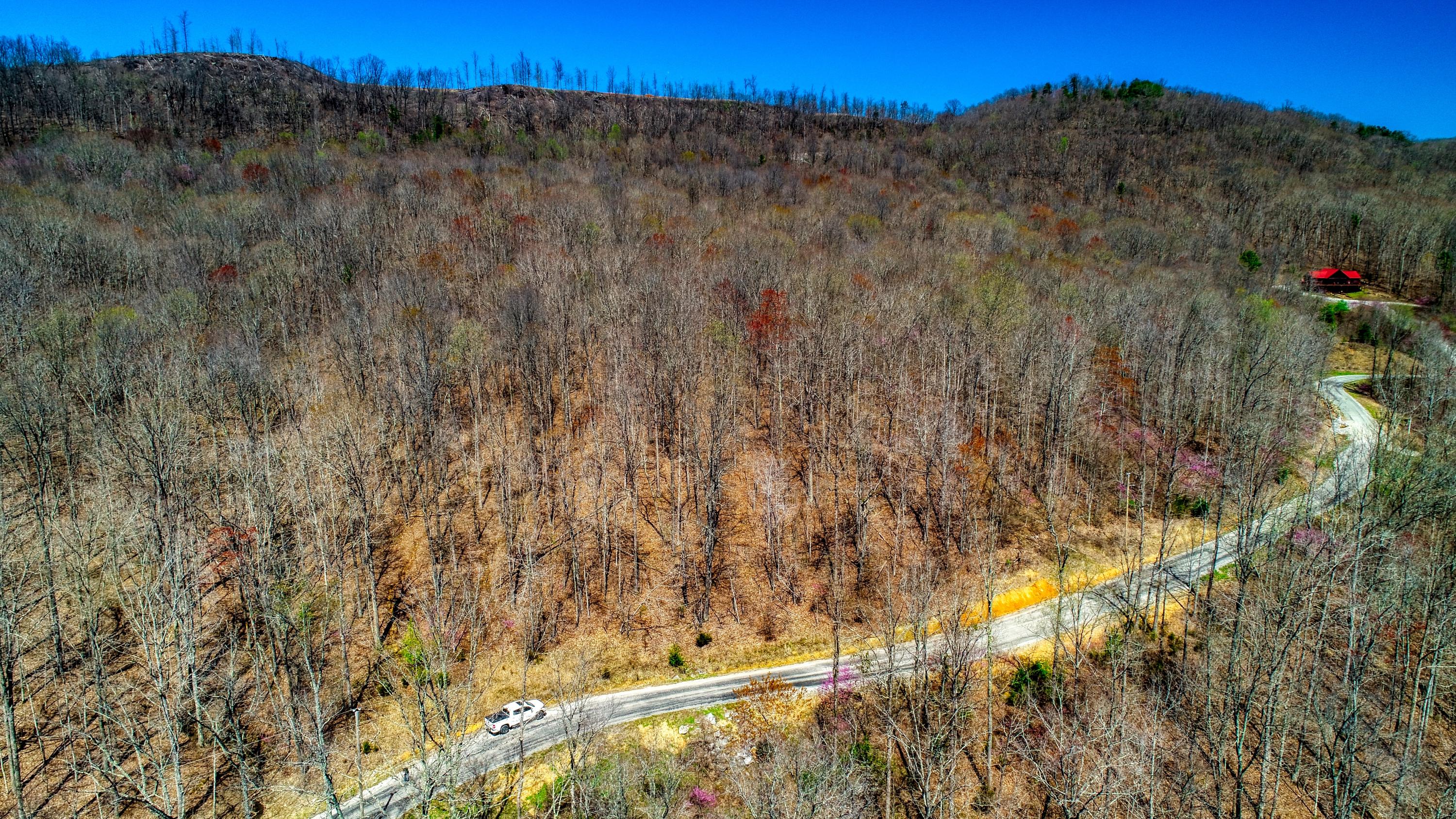 Lot 54 Cheyenne Road Jamestown, TN 38556 - Photo 4 of 4 DJI_0036