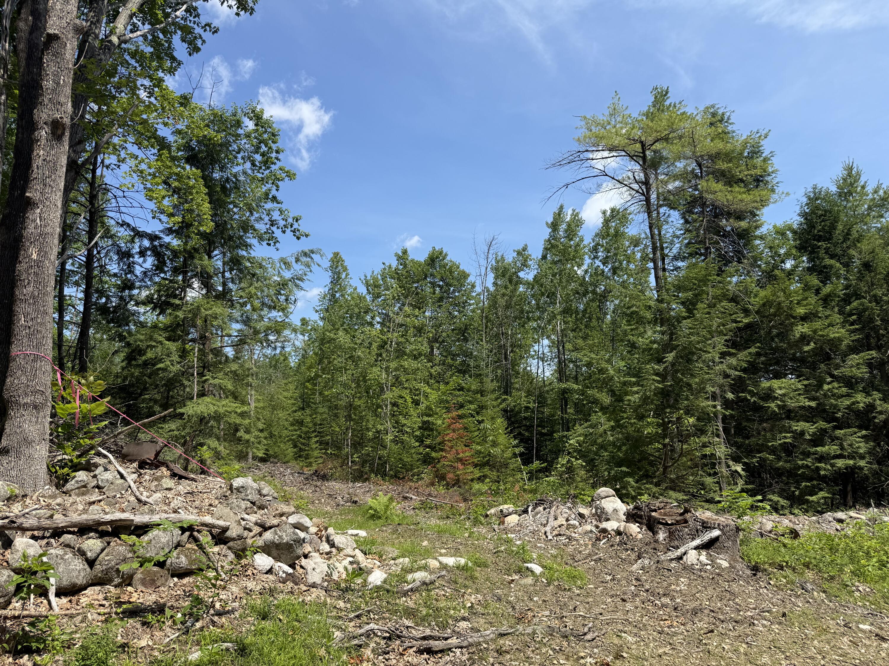 0 Fosterville Road Bridgton, ME 04009 - Photo 2 of 10 Photo 2