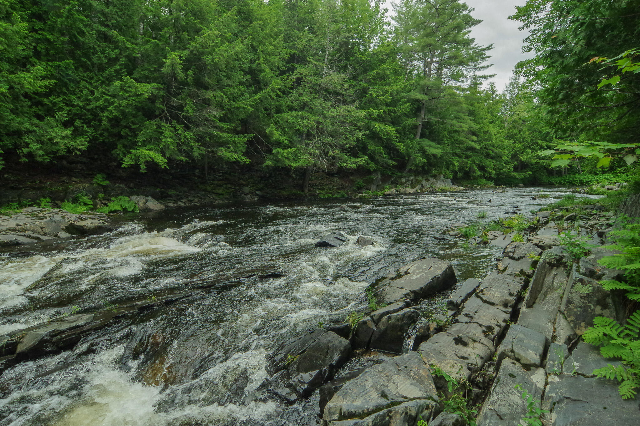 58 River Road Abbot, ME 04406 - Photo 93 of 114 IMGP0604