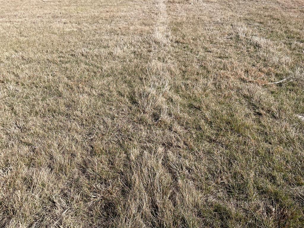 1 Miller Rd Valley Mills Valley Mills, TX 76689 - Photo 6 of 15 Exterior view