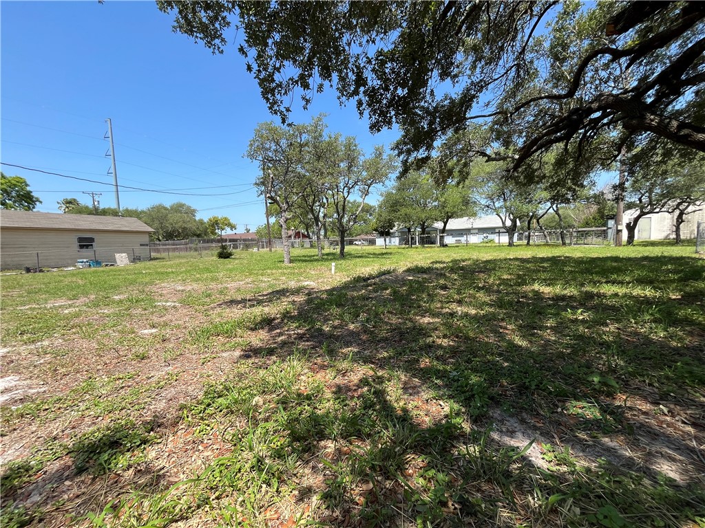 434 South 11th Street Aransas Pass, TX 78336 - Photo 15 of 16 a view of a field with a tree