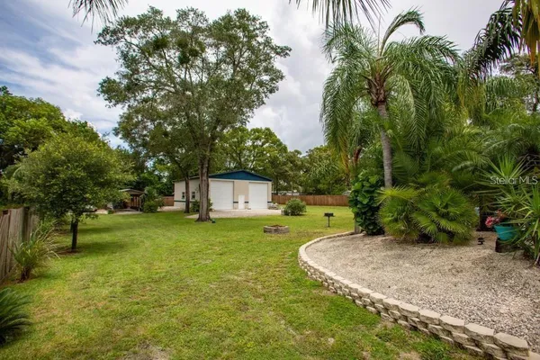 a view of a garden with a tree