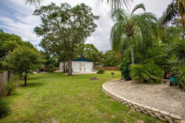 a view of a garden with a tree