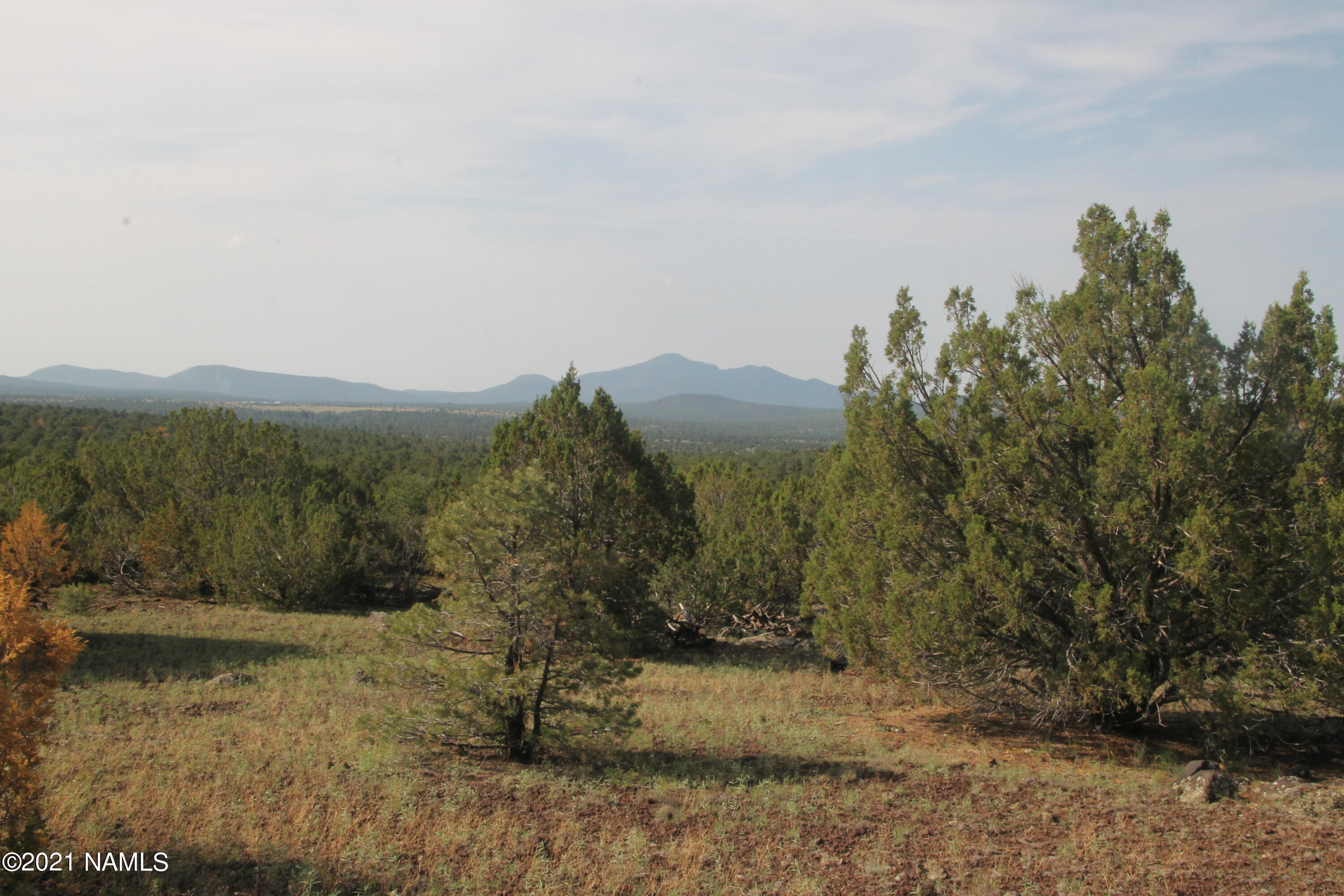 0 West Honeysuckle Road Williams, AZ 86046 - Photo 8 of 14 IMG_4439