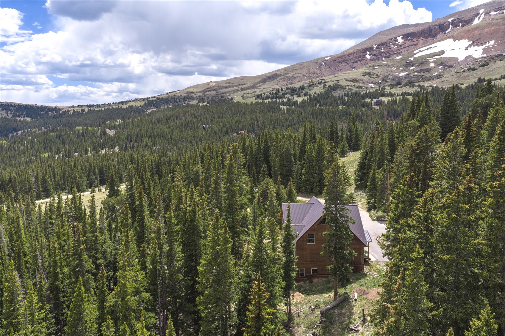 62 Lazy Rex Road Alma, CO 80420 - Photo 42 of 47