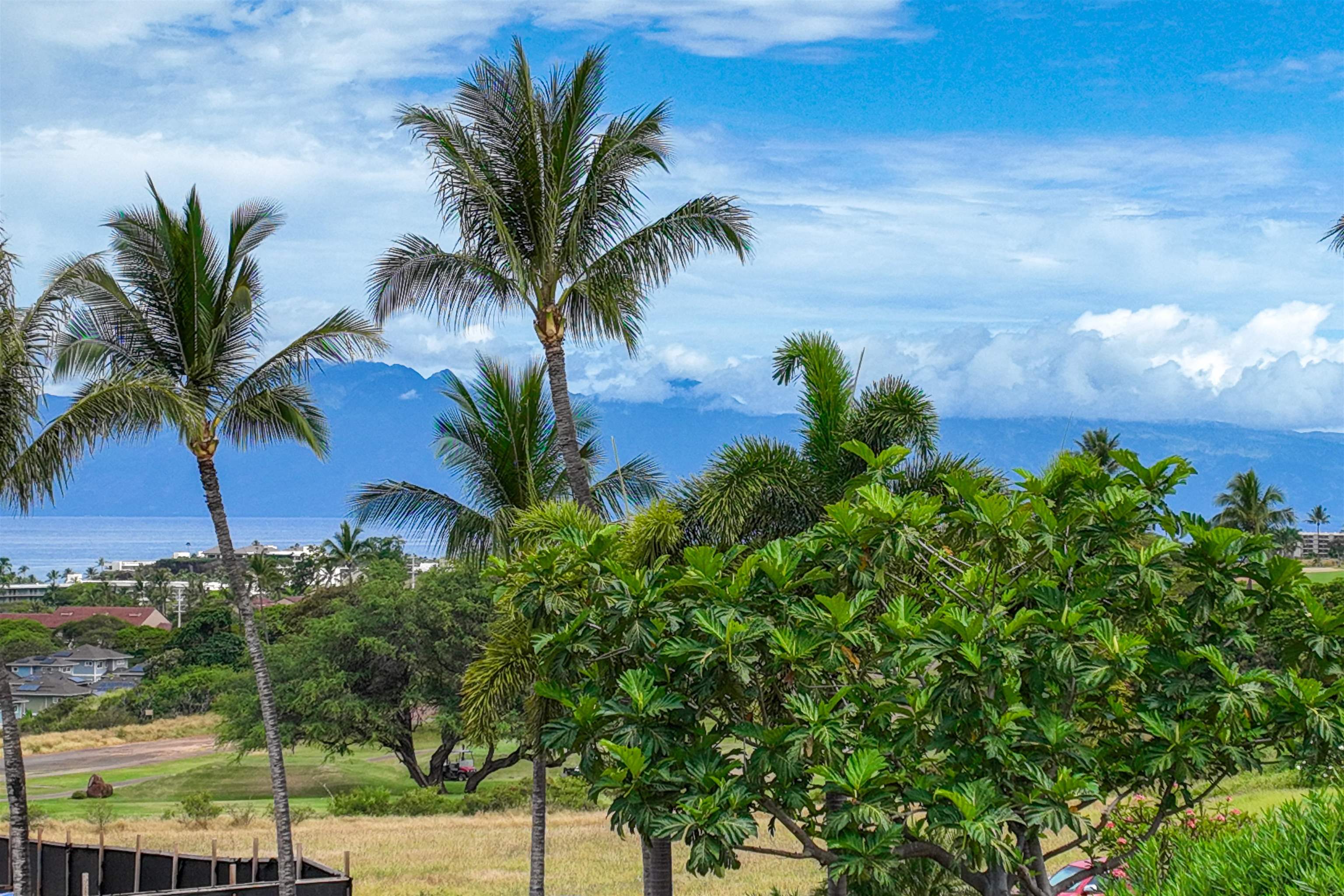 167 Anapuni Loop, Unit 26 Lahaina, HI 96761 - Photo 20 of 27 a view of a palm tree with a palm tree