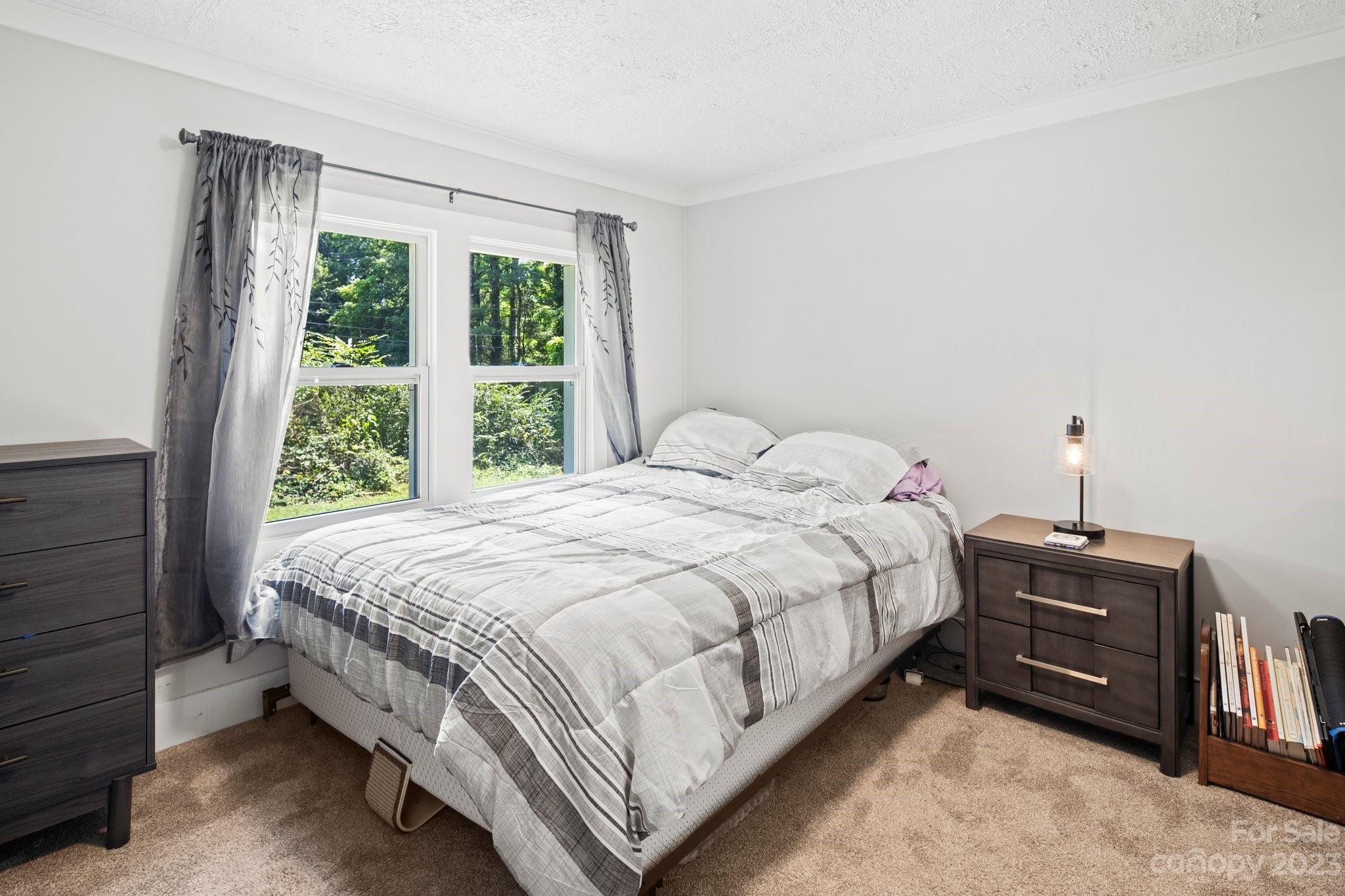 115 James E Davis Drive Mills River, NC 28759 - Photo 20 of 27 a bed sitting in a bedroom next to a window