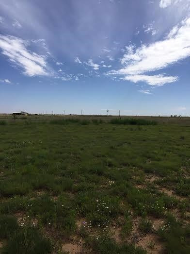 6871 Kansas Road Anton, TX 79313 - Photo 2 of 10 Photo 2