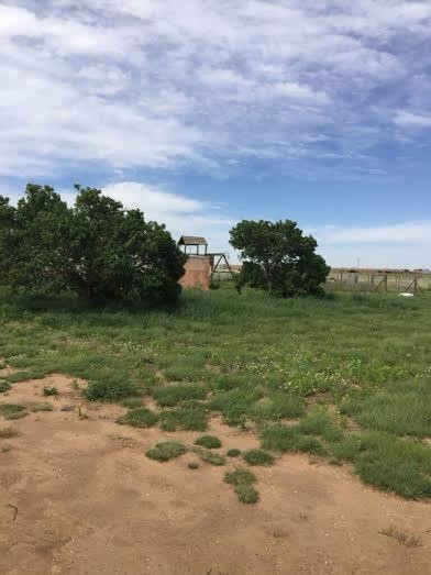 6871 Kansas Road Anton, TX 79313 - Photo 5 of 10 Photo 5