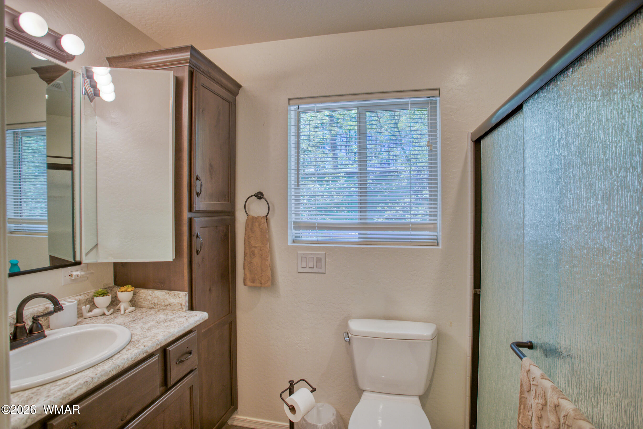 1669 East Rim Road Pinetop, AZ 85935 - Photo 17 of 30