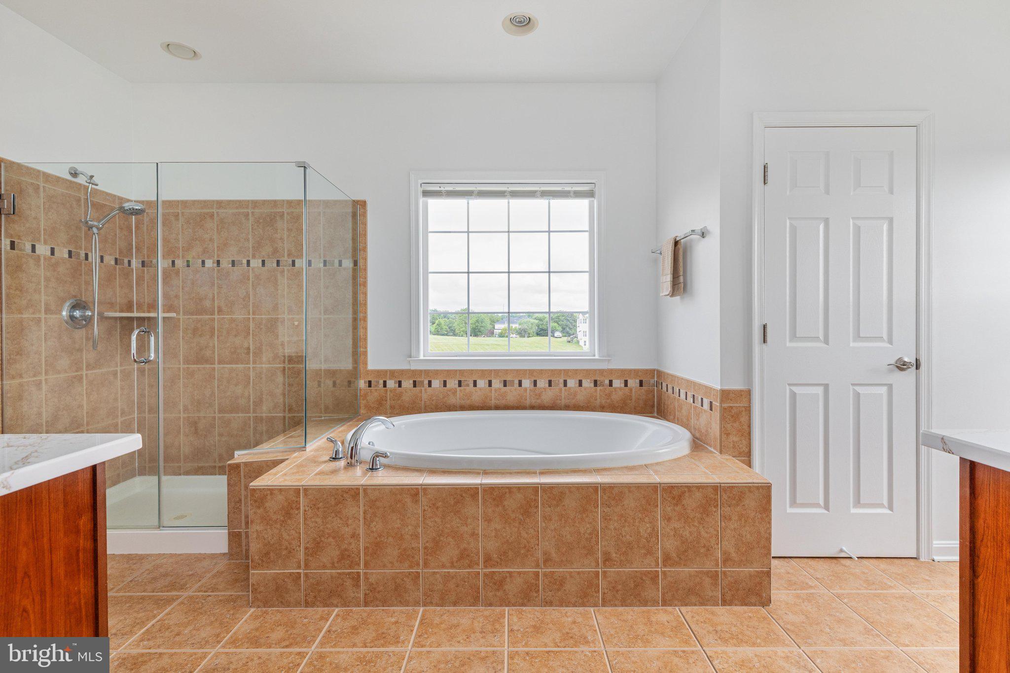 38786 Rambling Farm Drive Hamilton, VA 20158 - Photo 45 of 97
