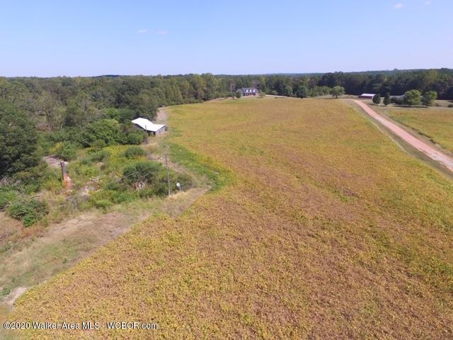 Lot 3 Arkadelphia Road Jasper, AL 35504 - Photo 4 of 9 Gallery Image 4
