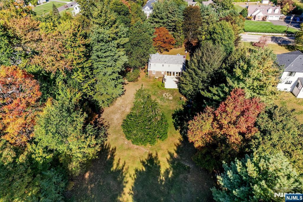 43 Old Tappan Road Old Tappan, NJ 07675 - Photo 17 of 19