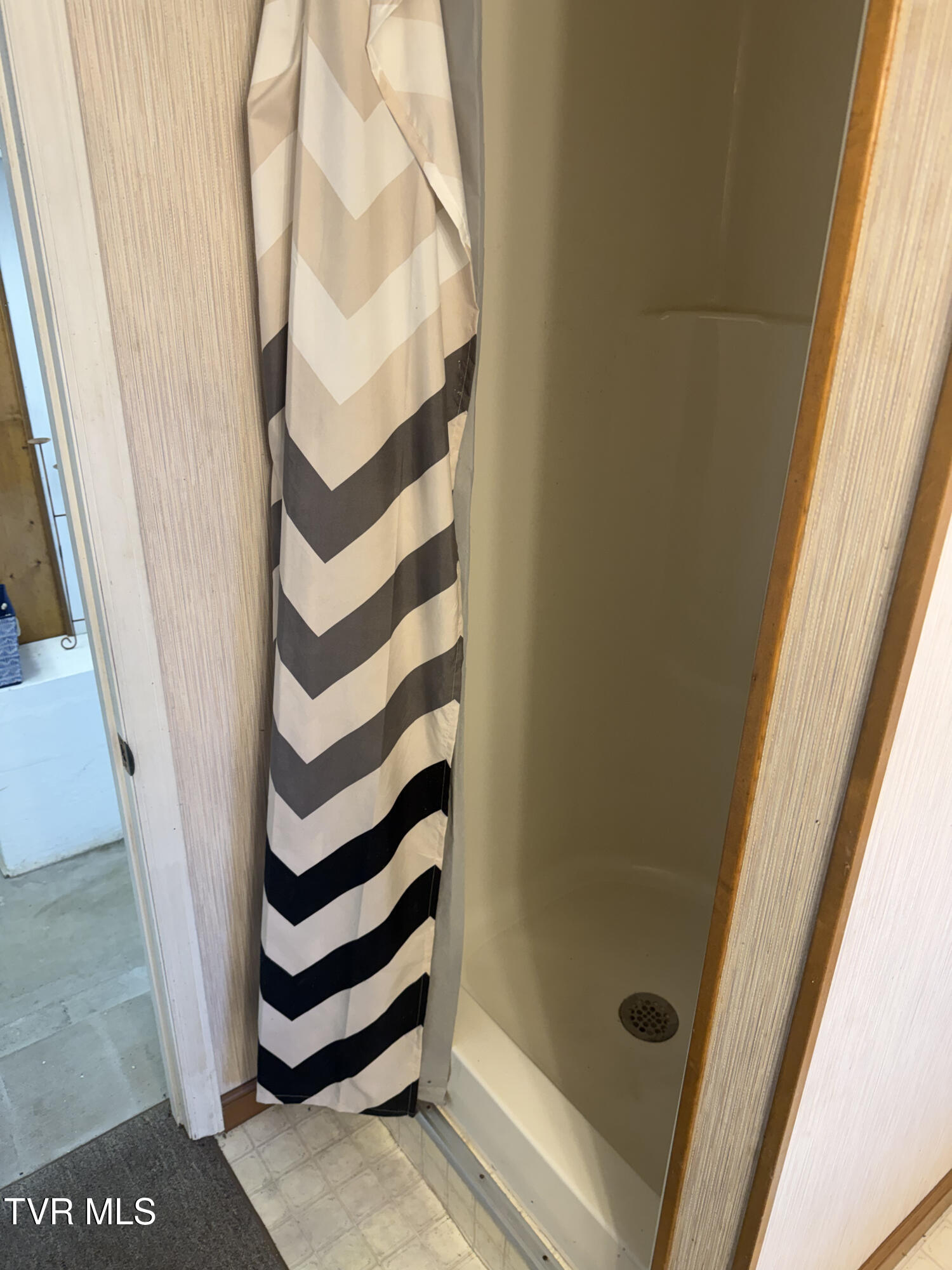 315 9th Street Erwin, TN 37650 - Photo 12 of 13 315 9th Basement Shower