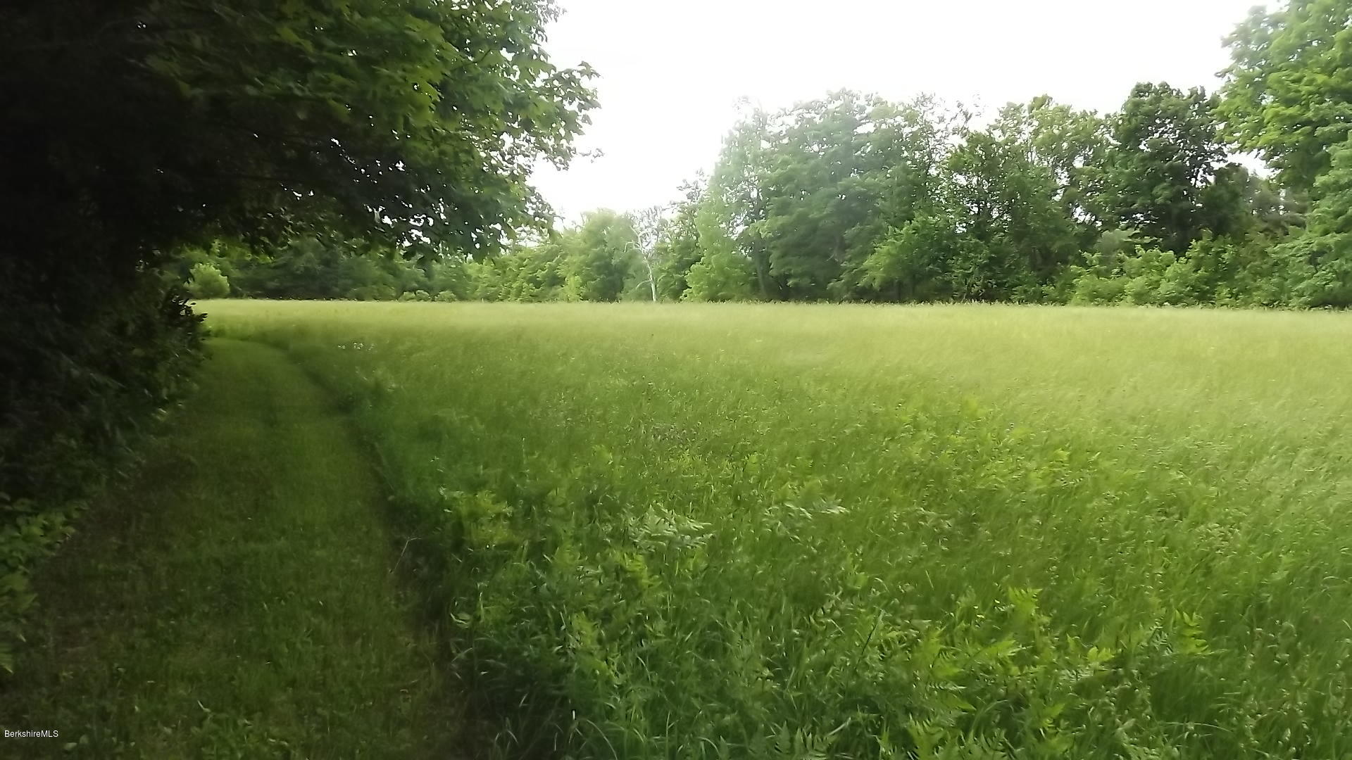 Lot 138 Ingell Road Chester, MA 01011 - Photo 5 of 8 field