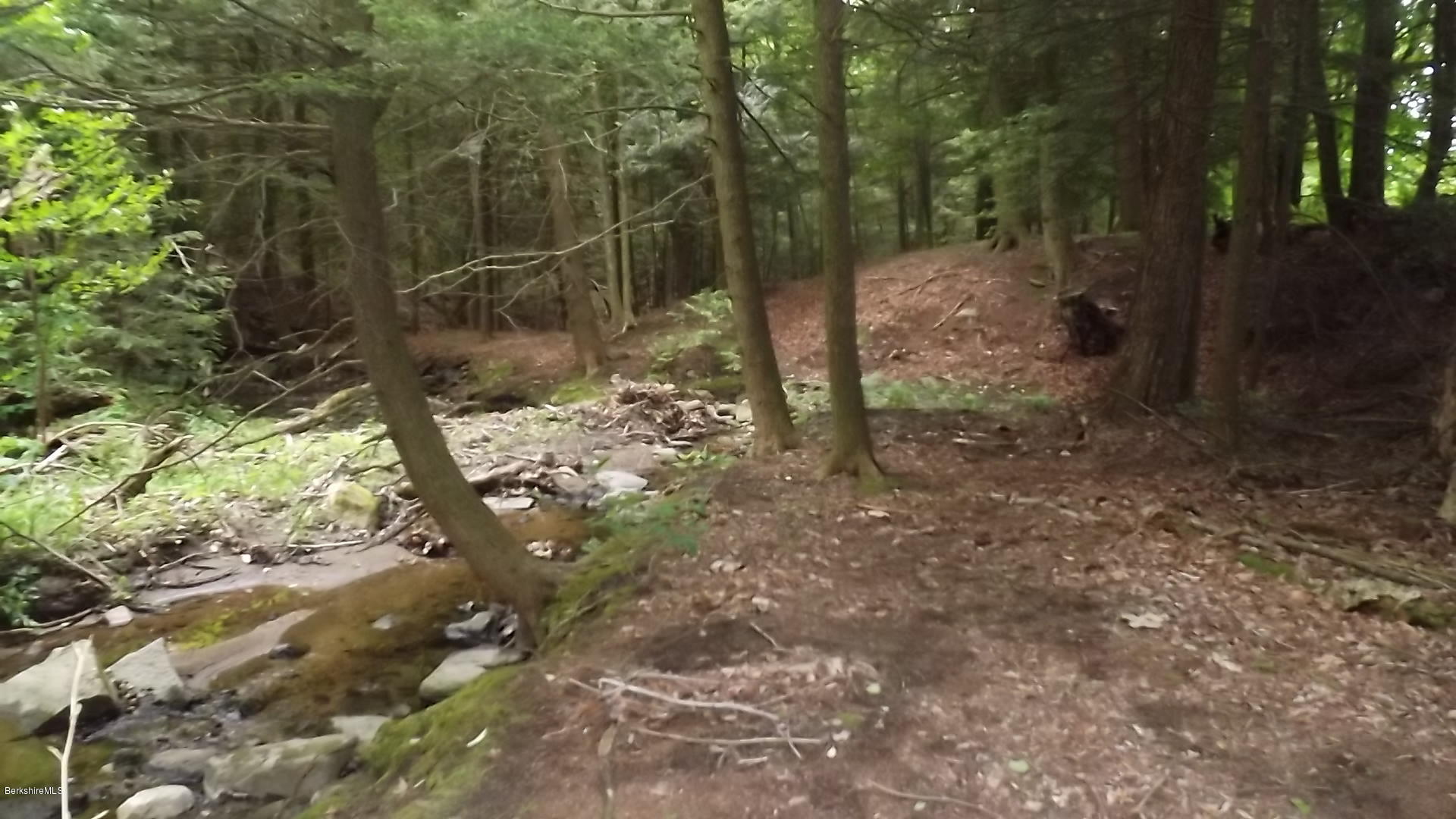 Lot 138 Ingell Road Chester, MA 01011 - Photo 8 of 8 woods