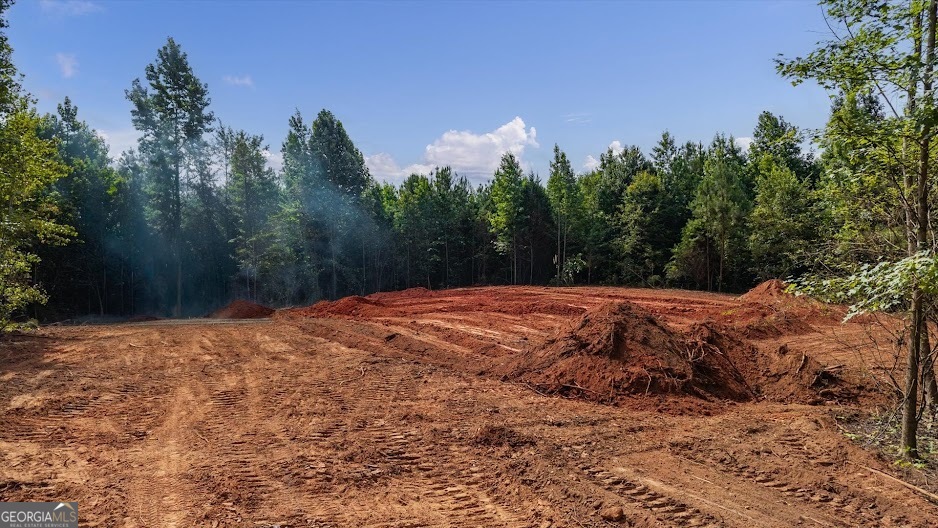 0 Shirey Dairy Road Carrollton, GA 30117 - Photo 17 of 19