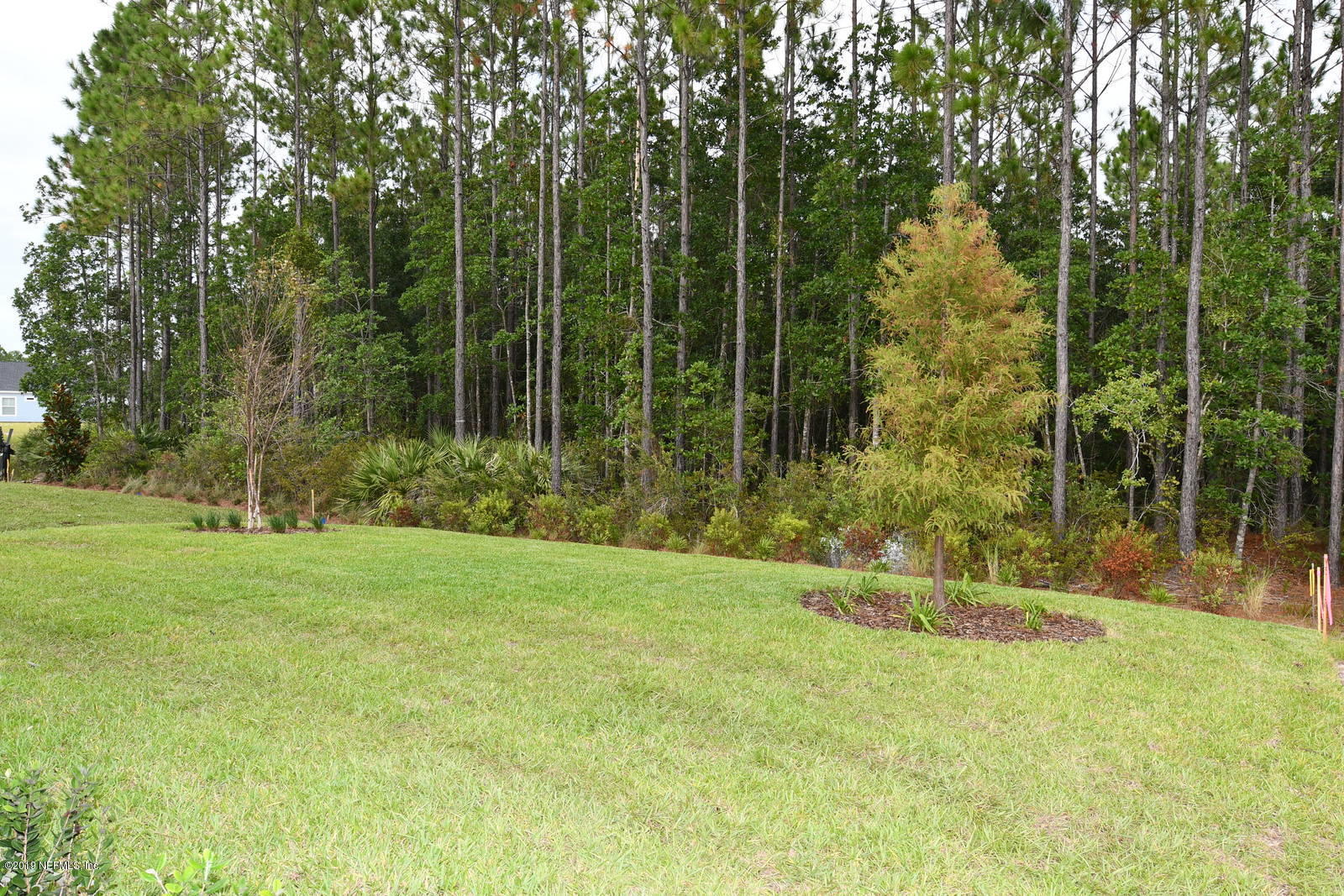 217 Shadow Rdg Trail Ponte Vedra, FL 32081 - Photo 25 of 28 Rear view