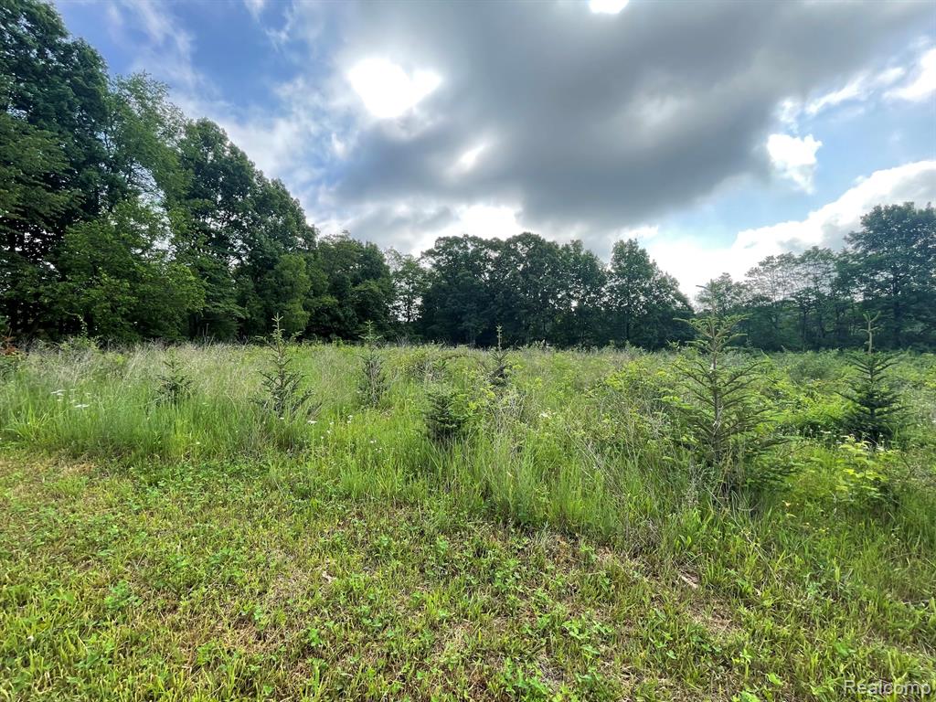 8 North Tipsico Lake Road Highland, MI 48357 - Photo 2 of 18
