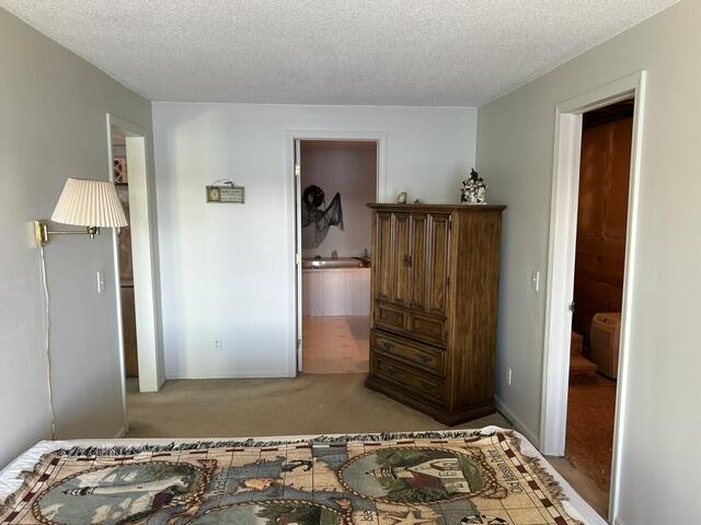 4323 Broadview Lane Lupton, MI 48635 - Photo 24 of 43 bed2