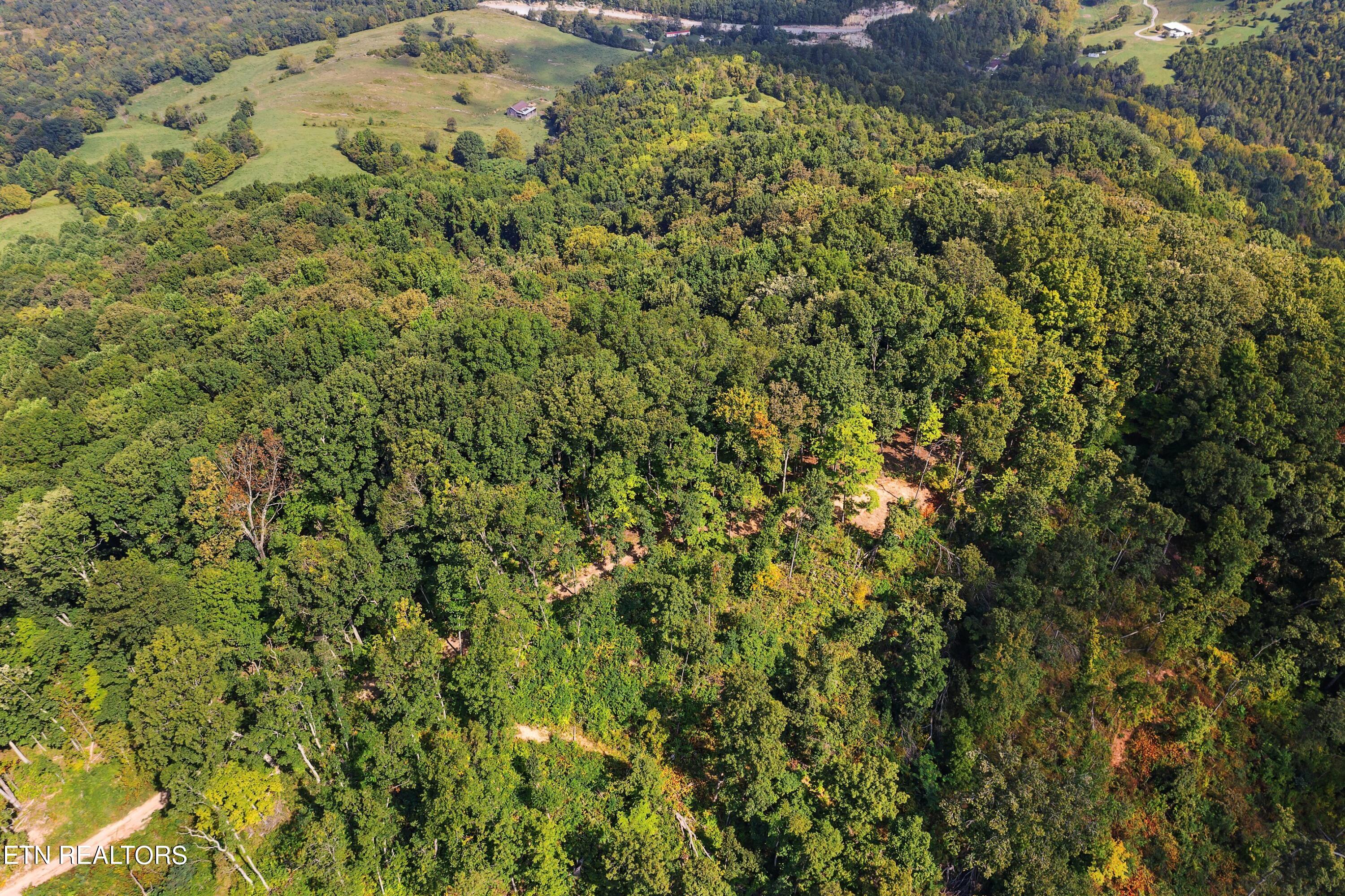 68-acres Little Valley Road Tazewell, TN 37879 - Photo 11 of 51 DJI_0861.jpg-SMALL