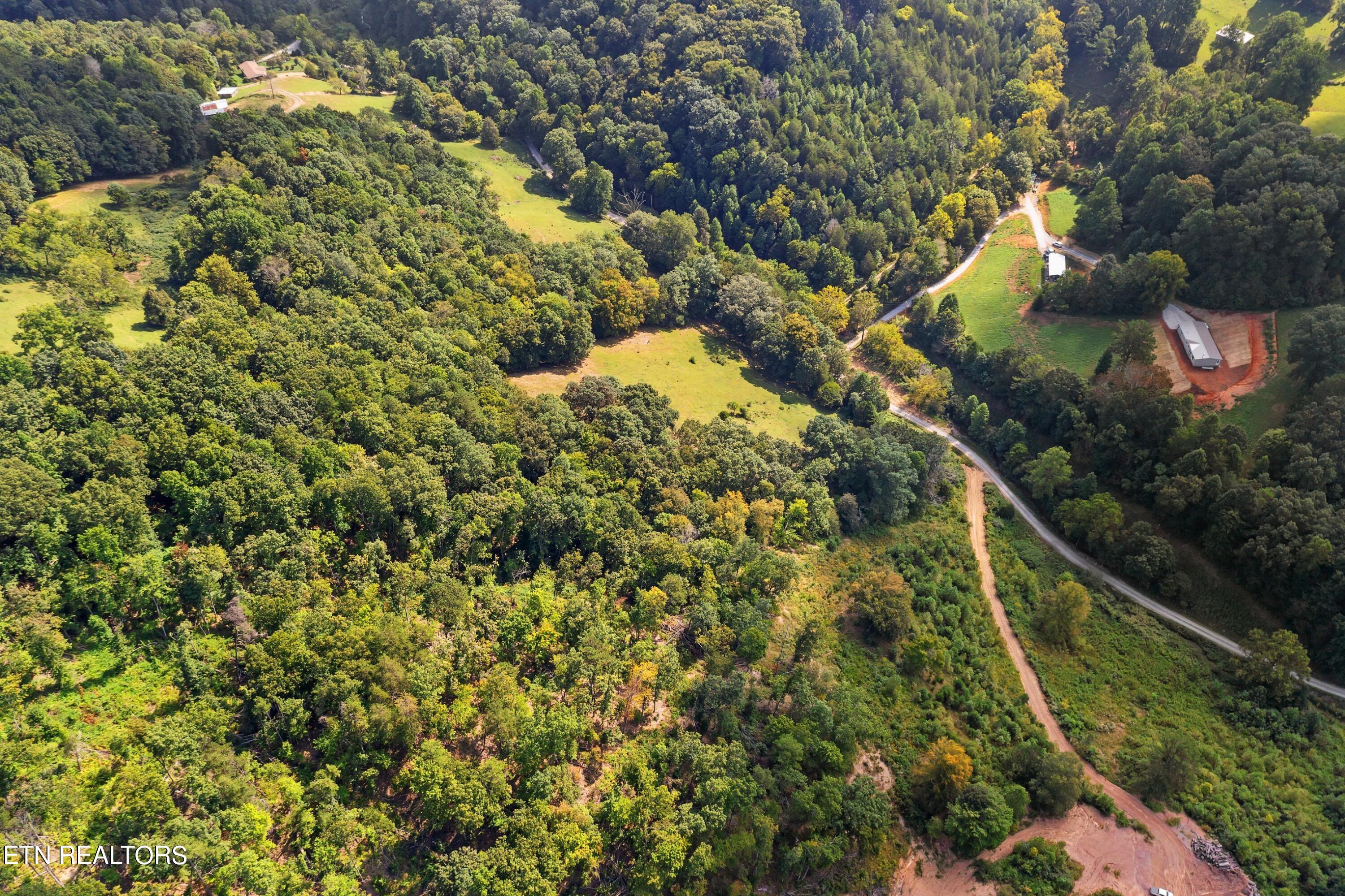 68-acres Little Valley Road Tazewell, TN 37879 - Photo 16 of 51 DJI_0892.jpg-SMALL