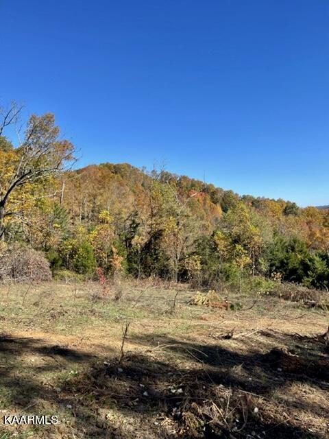 68-acres Little Valley Road Tazewell, TN 37879 - Photo 21 of 51 B0B4B3B6-07EC-4BF3-B158-DDD1C7C918FA